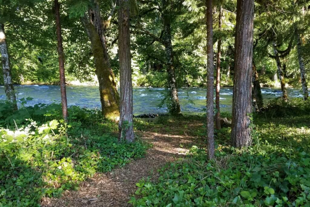 On The River Wooded Bliss Cabin Near Loloma McKenzie Bridge Εξωτερικό φωτογραφία