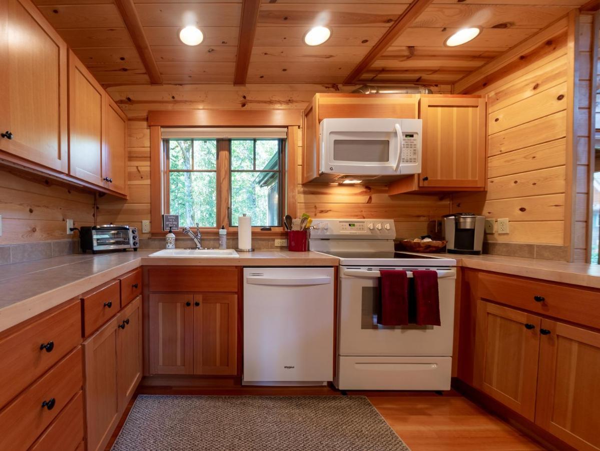 On The River Wooded Bliss Cabin Near Loloma McKenzie Bridge Εξωτερικό φωτογραφία